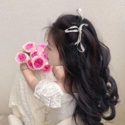 灰天鹅绒上的四只苍蝇