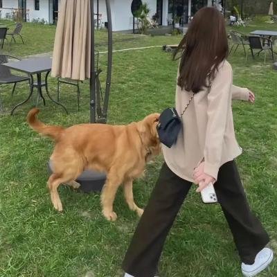 手足情
